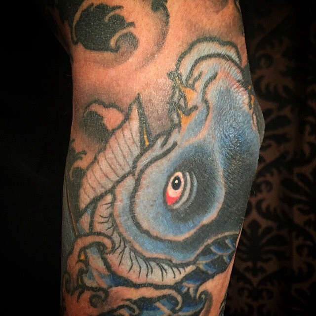 Healed details of a koi sleeve by Josiah Laughlin